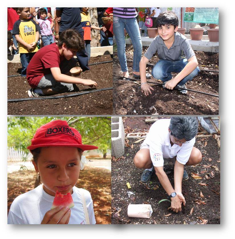 Collage huerto.jpg